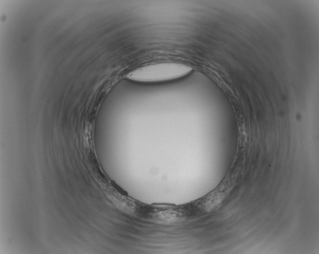 X0000068840423200605050948