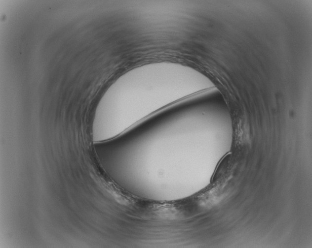 X0000068840424200605050948