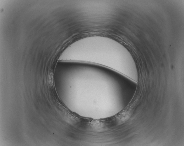 X0000068840425200605050948