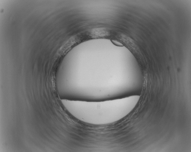 X0000068840426200605050948