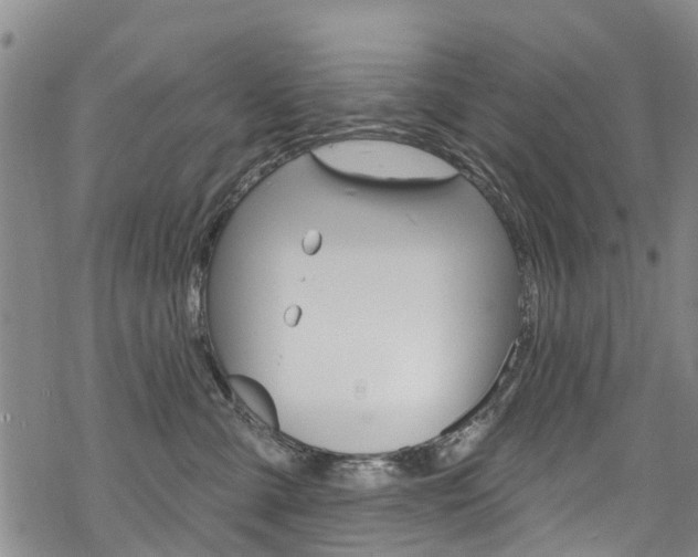 X0000068840427200605050948