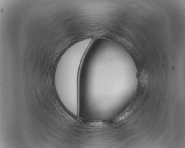 X0000068840428200605050948