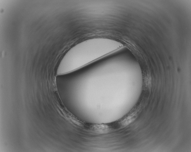 X0000068840429200605050948