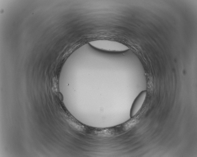 X0000068840430200605050948