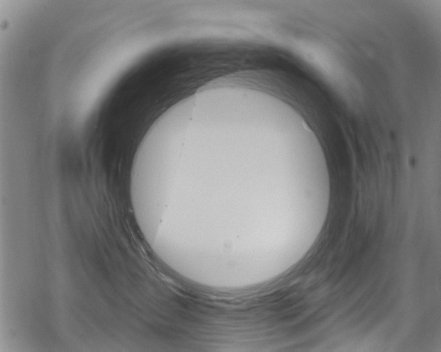 X0000068840431200605050948