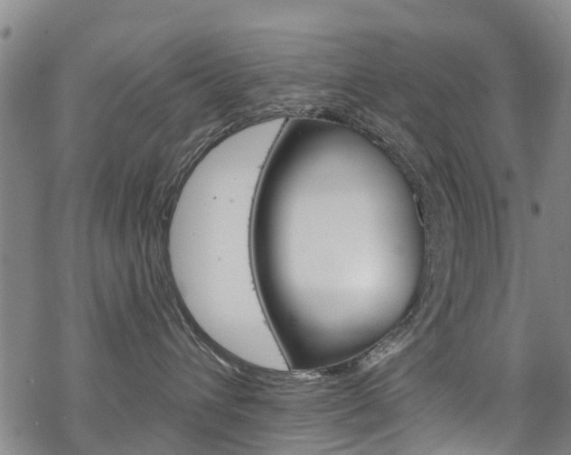 X0000068840432200605050948