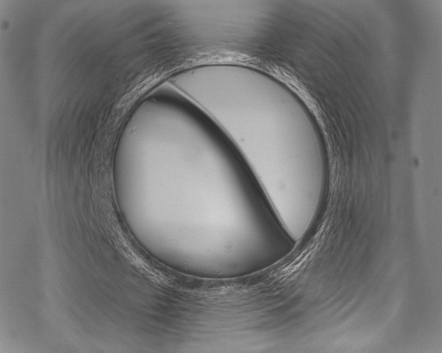 X0000068840433200605050947