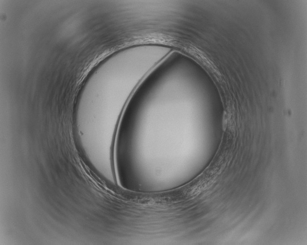 X0000068840434200605050947