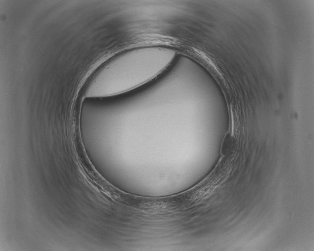 X0000068840435200605050947