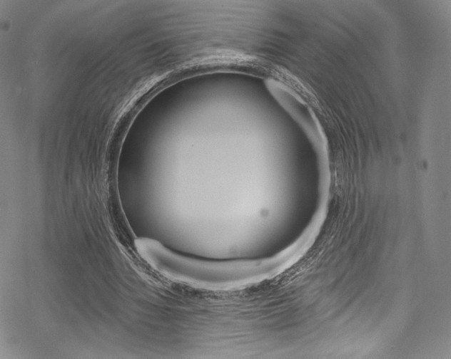 X0000068840436200605050947