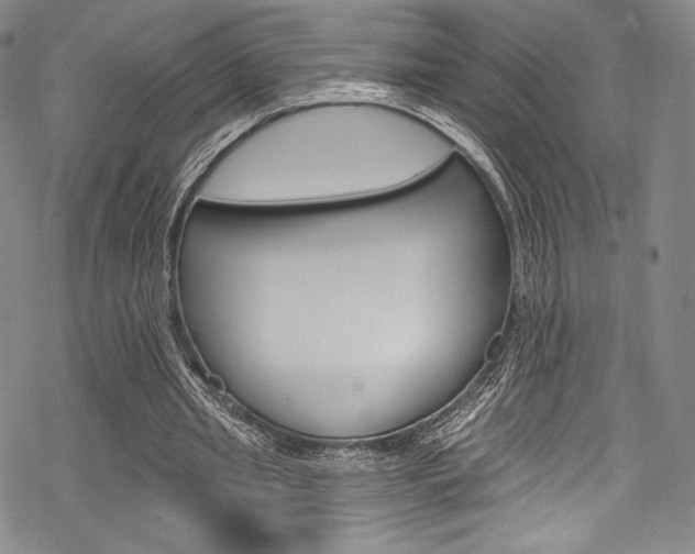 X0000068840437200605050947