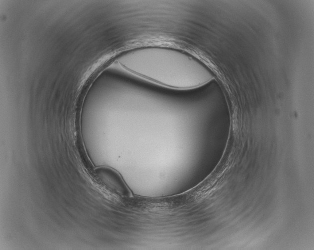 X0000068840438200605050947