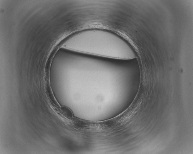 X0000068840439200605050947