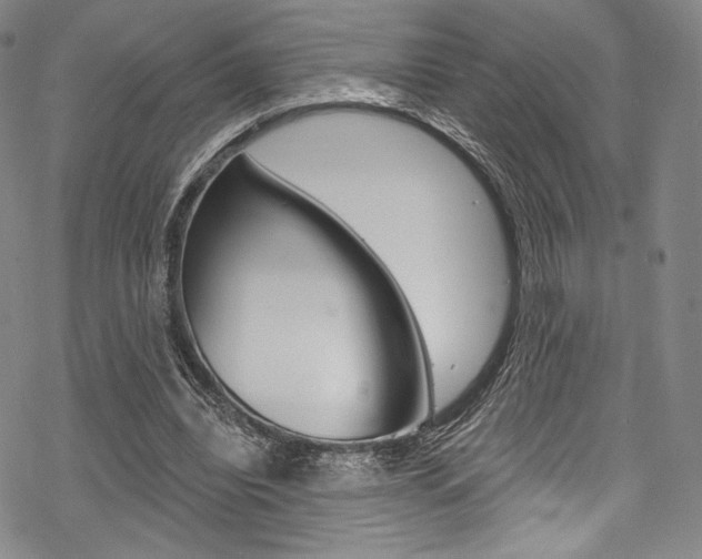 X0000068840440200605050948