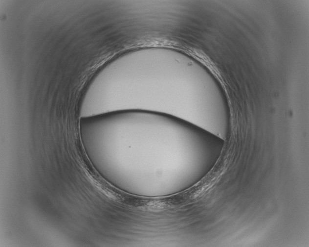 X0000068840441200605050948