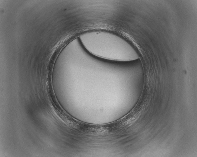 X0000068840443200605050948