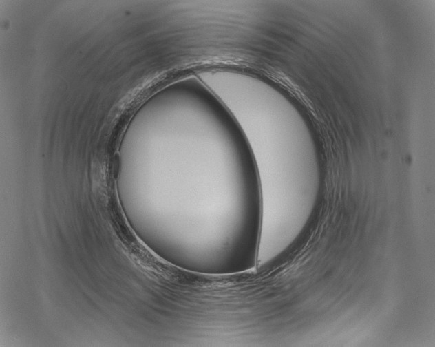 X0000068840444200605050948