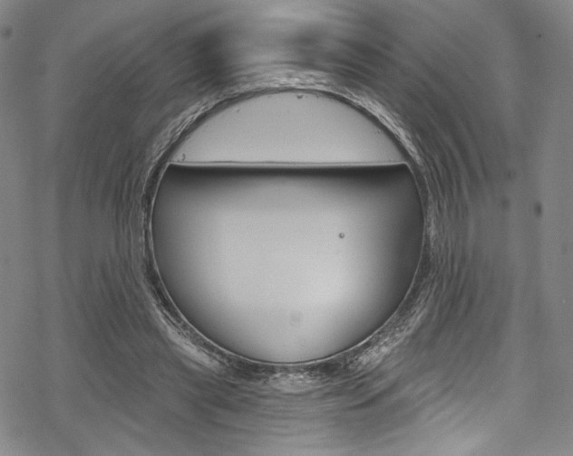 X0000068840445200605050948