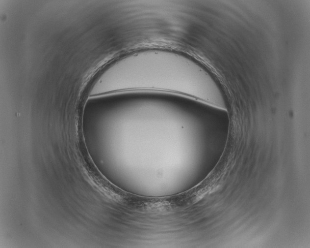 X0000068840446200605050948