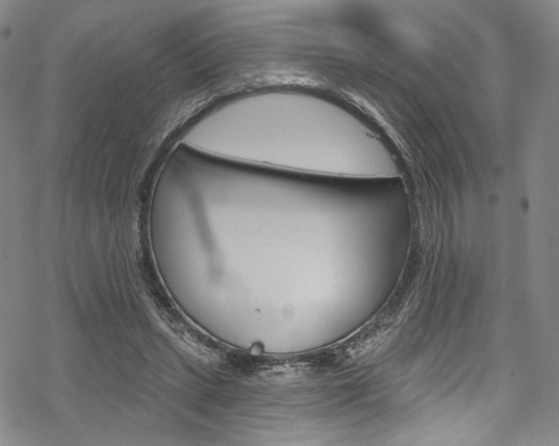 X0000068840447200605050948