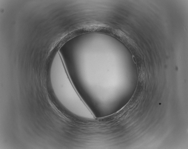 X0000068840448200605050948