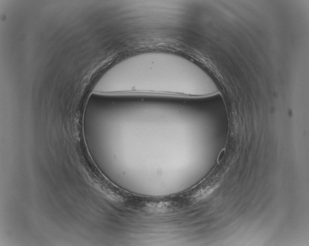 X0000068840450200605050948