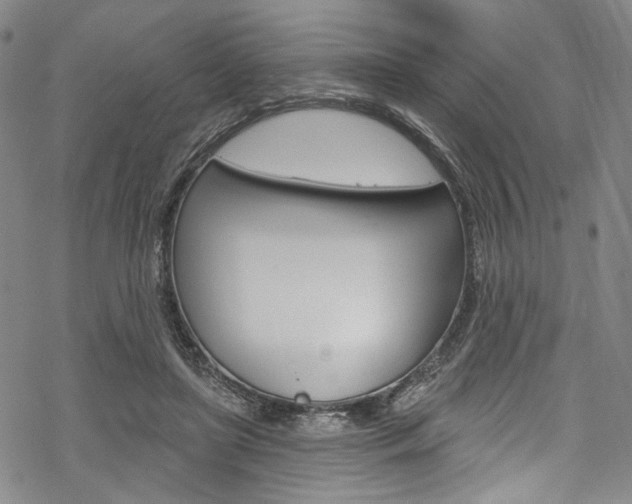 X0000068840451200605050948