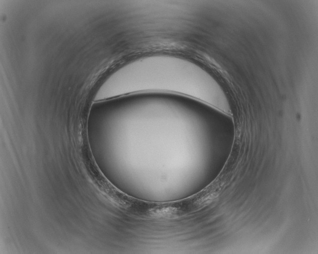 X0000068840452200605050948