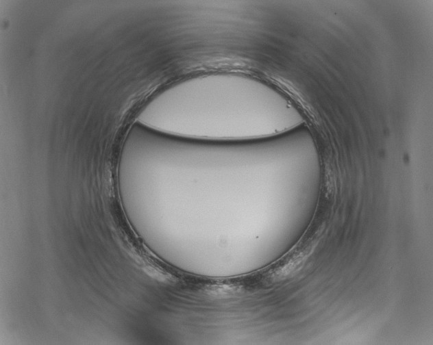 X0000068840453200605050948