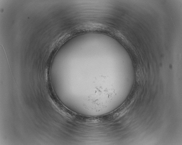 X0000068840454200605050948