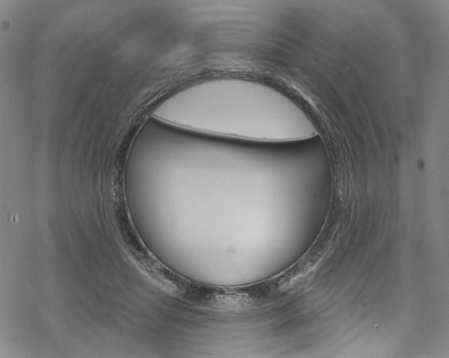 X0000068840455200605050948