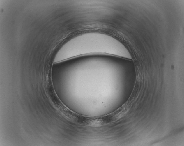 X0000068840456200605050948