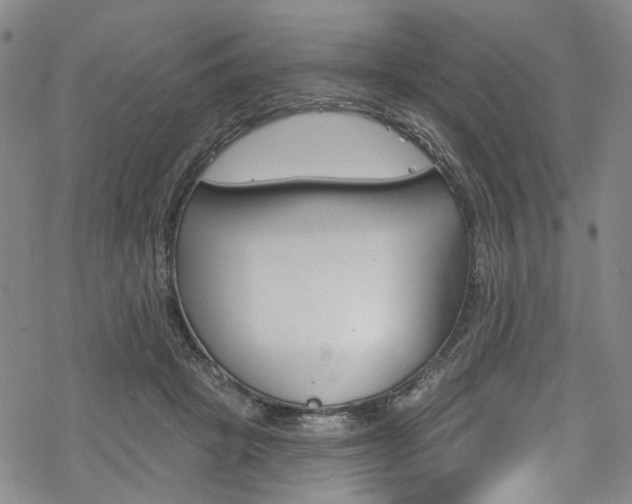 X0000068840457200605050948