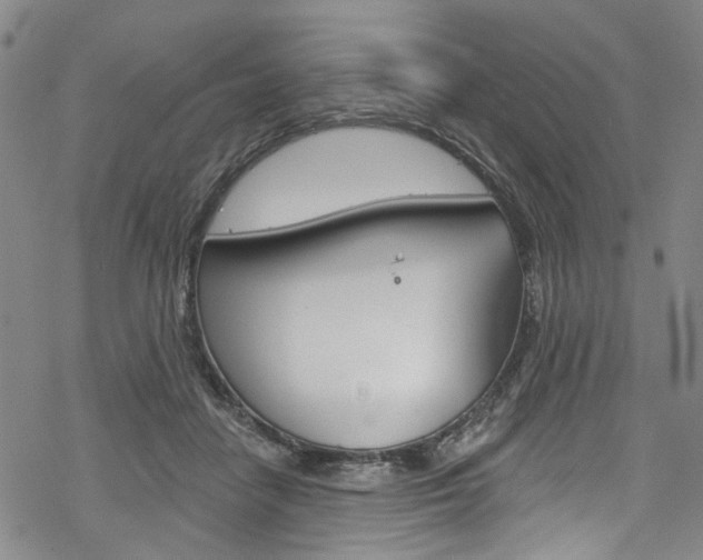 X0000068840458200605050948