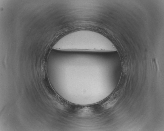 X0000068840460200605050948