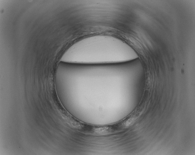 X0000068840461200605050948