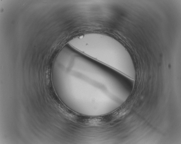 X0000068840462200605050948