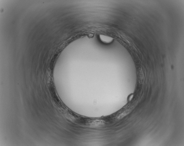 X0000068840463200605050948