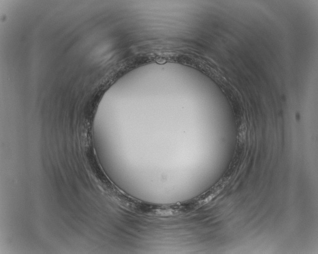 X0000068840464200605050948