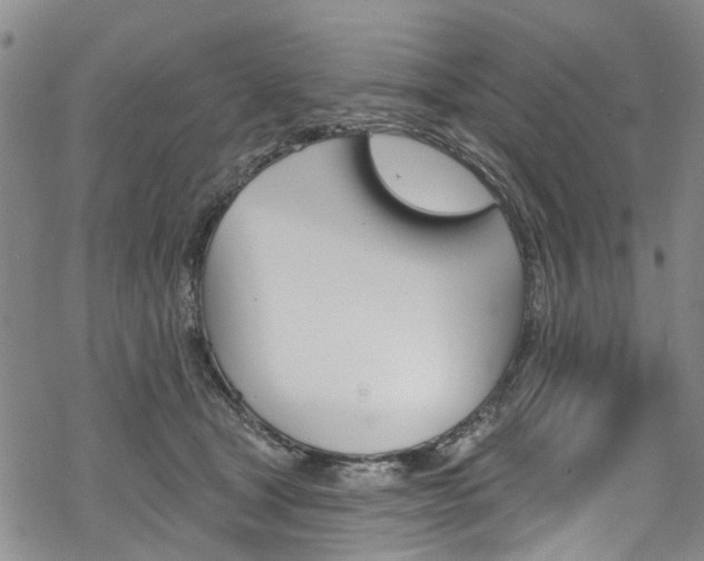 X0000068840465200605050948