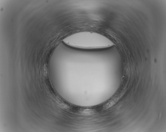 X0000068840467200605050948