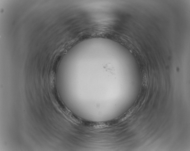 X0000068840468200605050948