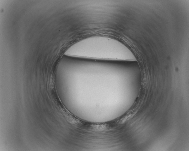 X0000068840469200605050948