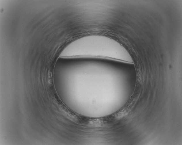 X0000068840470200605050948