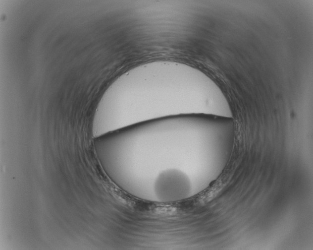 X0000068840471200605050948