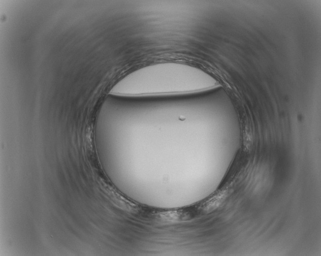 X0000068840473200605050948