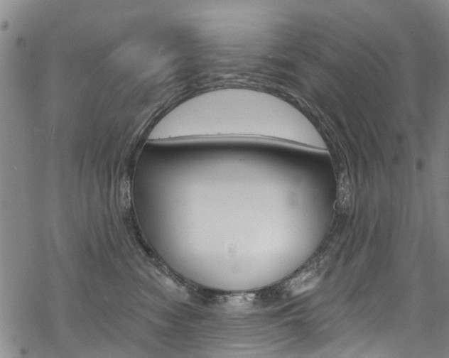 X0000068840474200605050948