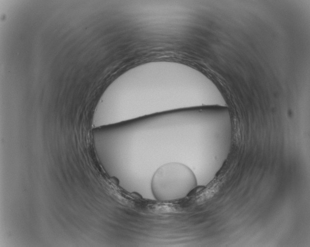 X0000068840475200605050948