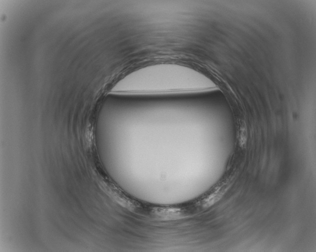 X0000068840476200605050948