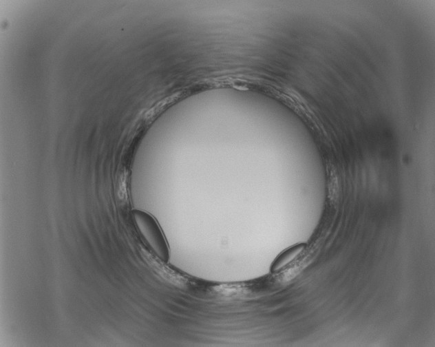 X0000068840477200605050948